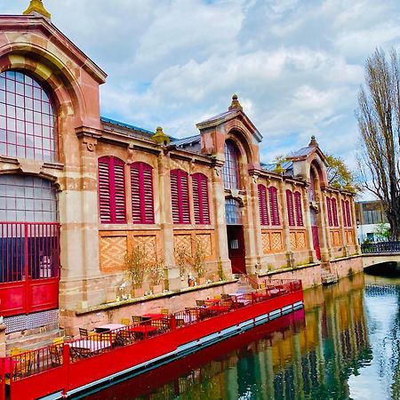 Appartement Spacieux A Colmar Avec Terrasse, Garage Privatif, Proche Centre Et Gare - Fr-1-722-2 외부 사진