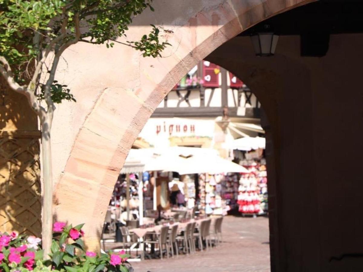 Appartement Spacieux A Colmar Avec Terrasse, Garage Privatif, Proche Centre Et Gare - Fr-1-722-2 외부 사진