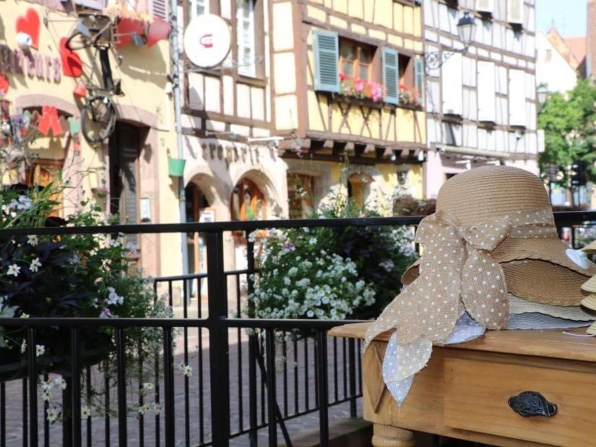 Appartement Spacieux A Colmar Avec Terrasse, Garage Privatif, Proche Centre Et Gare - Fr-1-722-2 외부 사진