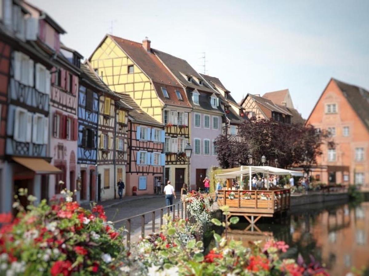 Appartement Spacieux A Colmar Avec Terrasse, Garage Privatif, Proche Centre Et Gare - Fr-1-722-2 외부 사진